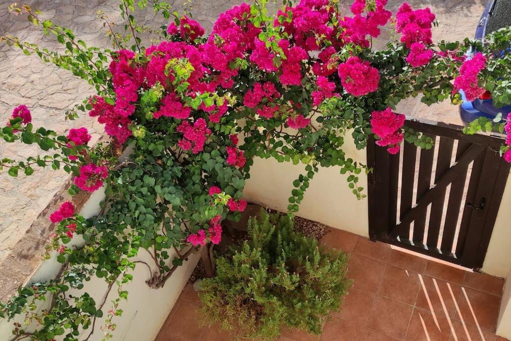 Casa Con Piscina En San Jose Sotillo Zewnętrze zdjęcie